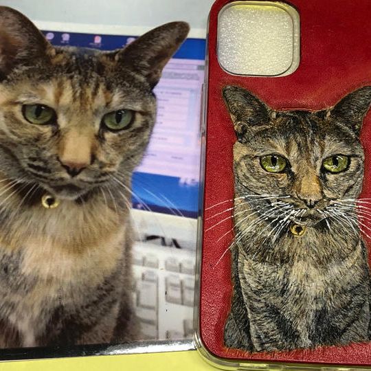 スマフォケースに貼付けタイプ（絵）