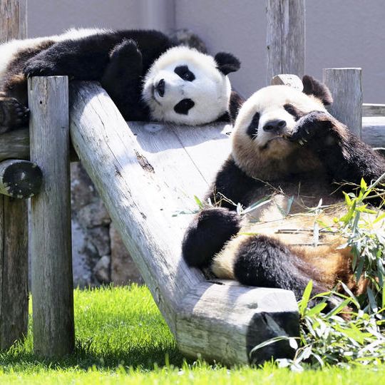 おこころざしコース（ムック本なし）