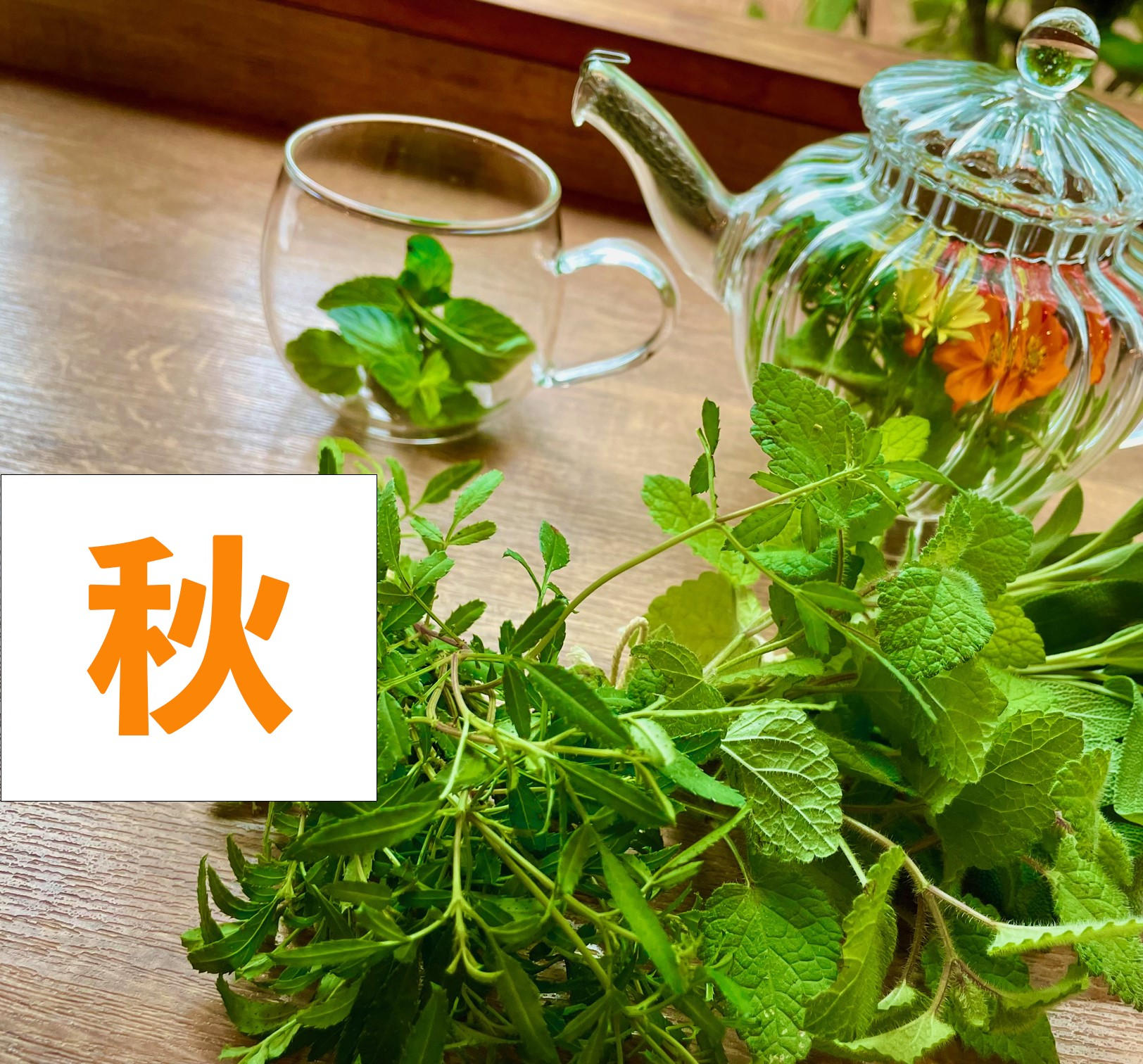季節のフレッシュハーブティー(秋) - ( 見て楽しむから、食べて楽しむ