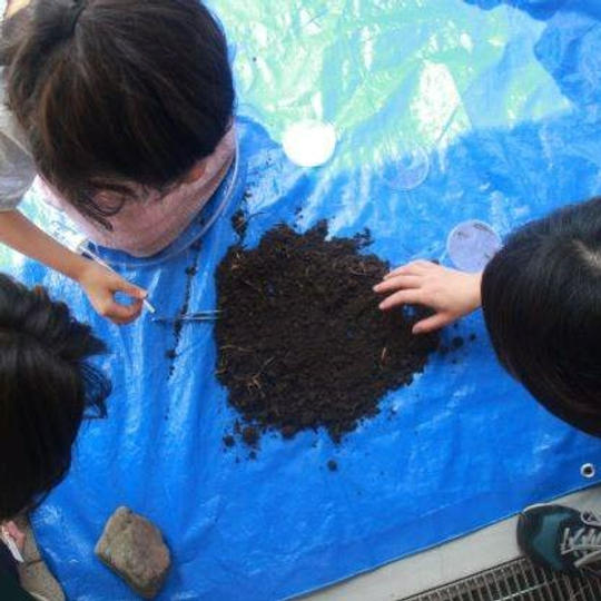 土壌生物調査ワークショップ