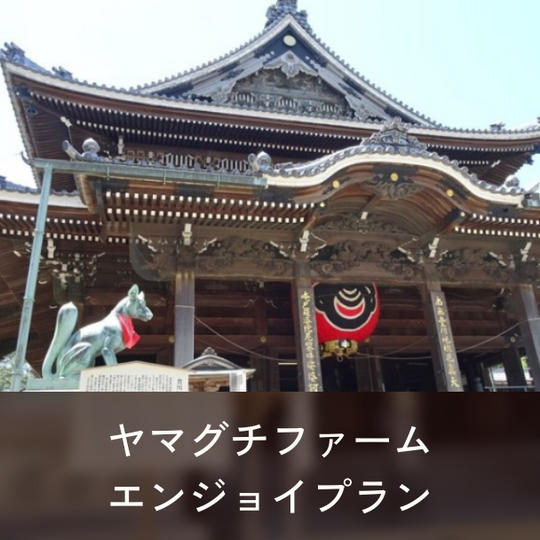 ヤマグチファームエンジョイセット
