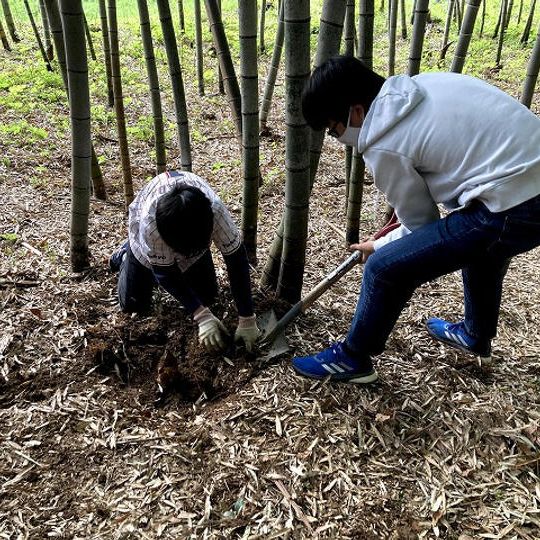 4月15日(土)10:00~たけのこ掘り放題体験会(ランチ付)未就学児参加費無料