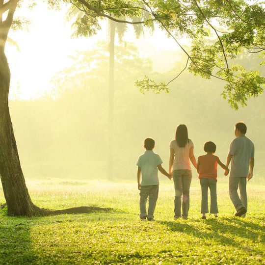 【先着5名様限定・特別割引】出張撮影ライトプラン