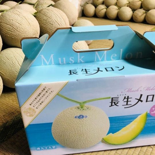 長生きマスクメロン1個入化粧箱