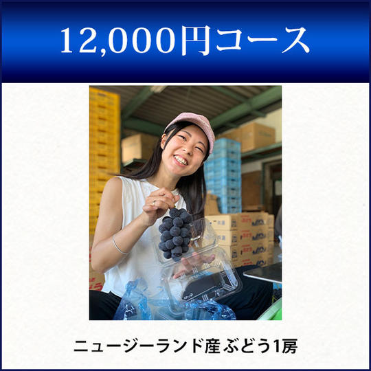 12,000円コース