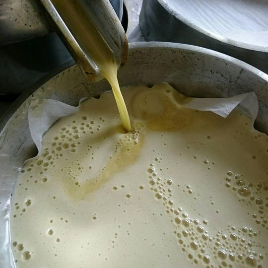 荏胡麻油搾油体験　～ほんとの搾りたてが味わえる～