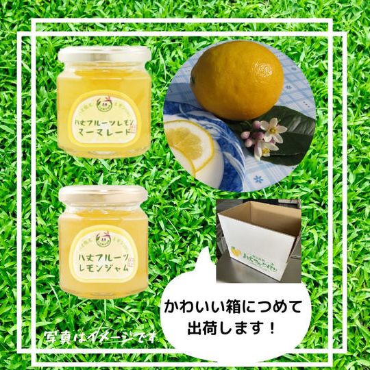 八丈フルーツレモンとジャム・マーマレードのセット