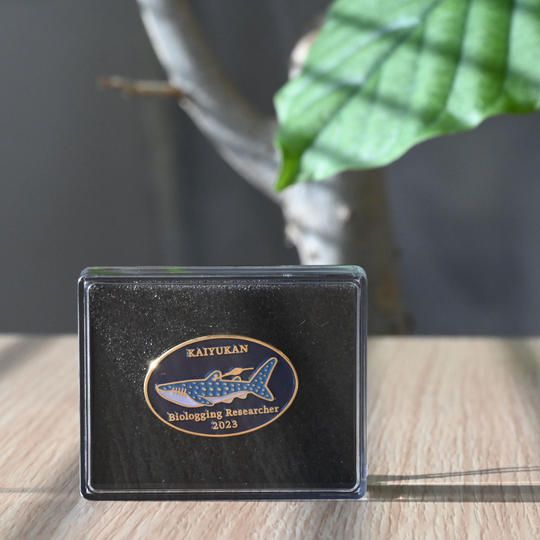 ⑥【限定】ピンバッチ