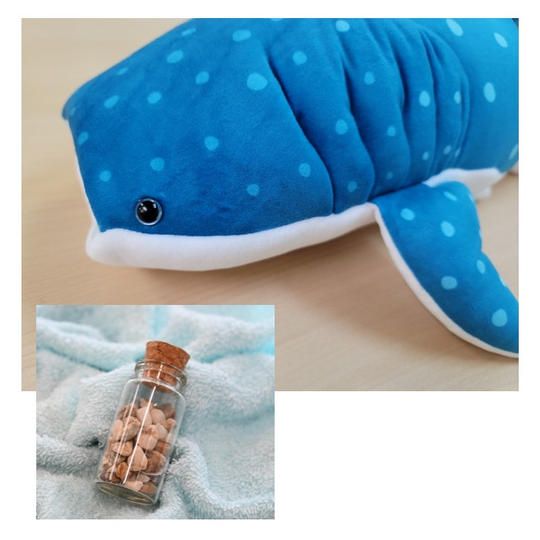 ⑫ぬいぐるみ エラ付ジンベエザメ＋「太平洋」水槽の底砂