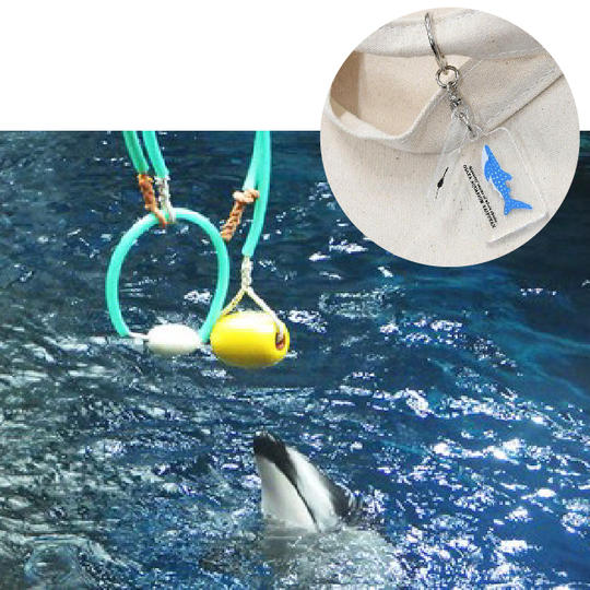 ⑬カマイルカのおもちゃ＋【限定】アクリル2連キーチェーン