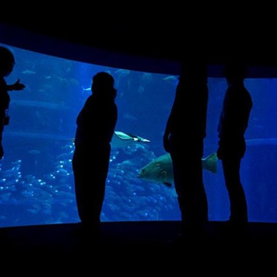 ⑲飼育員と巡る海遊館ナイトツアー