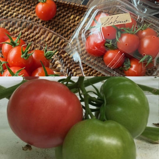 【法人向け】Makanaと大玉トマトのセット