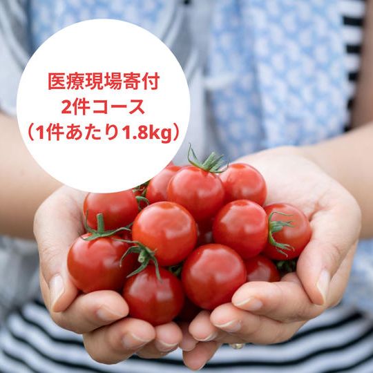 ミニトマト900g、オンラインストア5％OFFクーポンお礼メールをあなたへ届けます！