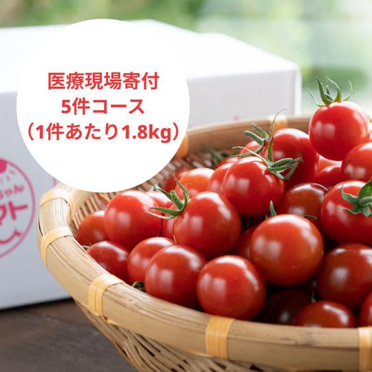 ミニトマト1.5kg、トマト狩り参加権、オンラインストア10％OFFクーポン、お礼メールをあなたへ届けます！