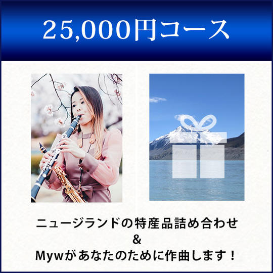 25,000円コース