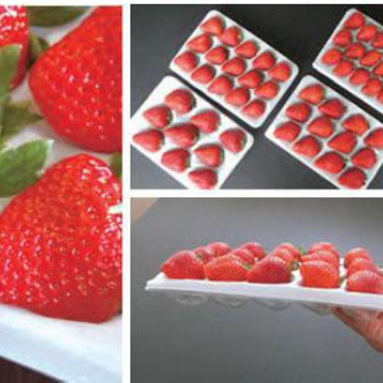 玉城町から直送!冬採いちご2パック送料税込み5,000円