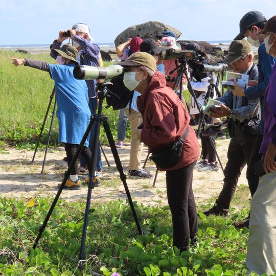 奄美大島における自然学習講座と自然観察会＋分析結果報告