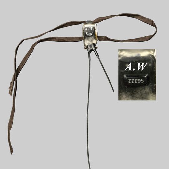 オーストンオオアカゲラにイニシャルを入れたGPSを装着＋分析結果報告