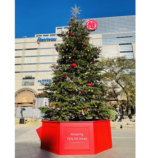 【12～13時枠】プロカメラマン写真撮影（早割・イルミネーション点灯前）