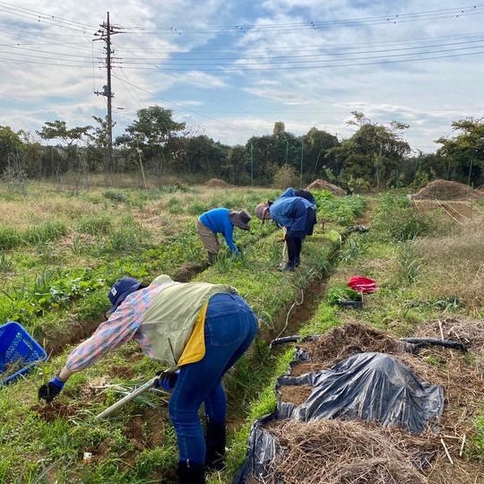 ランチ付き「まじ農業体験コース３時間」6名様までご参加可能