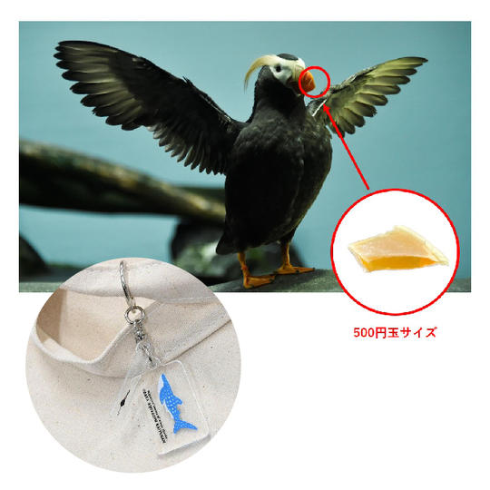 ⑱エトピリカの嘴覆（かくふく）＋【限定】アクリル2連キーチェーン