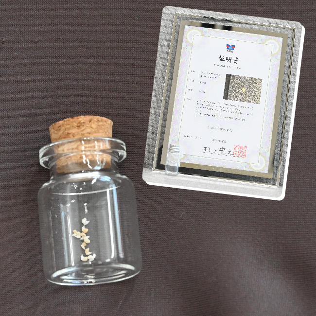 【希少品】人魚の財布 鮫 卵 サメ 標本 レア 開運 金運 歯 化石 お守り 希少品】人魚の財布 鮫 卵 サメ 標本 レア 開運 金運 歯 化石
