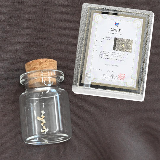 ㉑ジンベエザメの歯（証明書付）