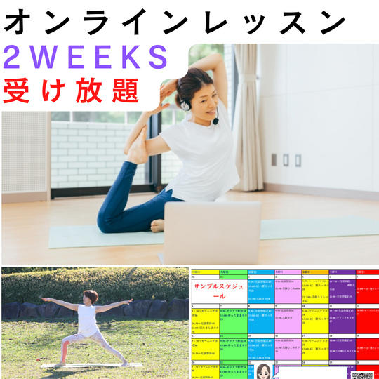 ２WEEKS　オンラインレッスン（約３０レッスンレッスン）使い放題