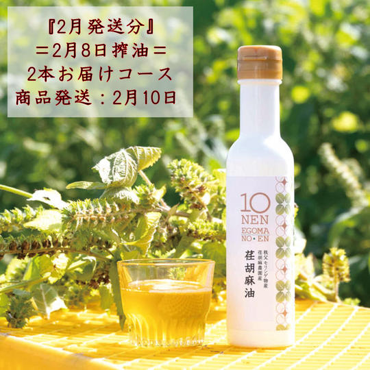 搾りたて荏胡麻油　２本お届け　＝2月8日搾油＝