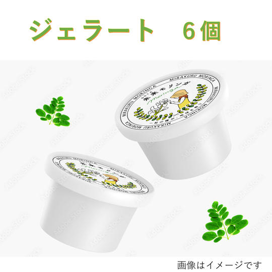 モリンガジェラート6個セット［冷凍発送］