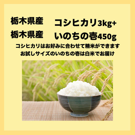 栃木県産　ピロール米コシヒカリ3ｋｇ+ピロール米いのちの壱450ｇ