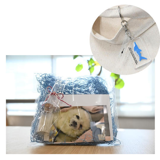 ⑰ワモンアザラシのこどもの毛＋【限定】アクリル2連キーチェーン