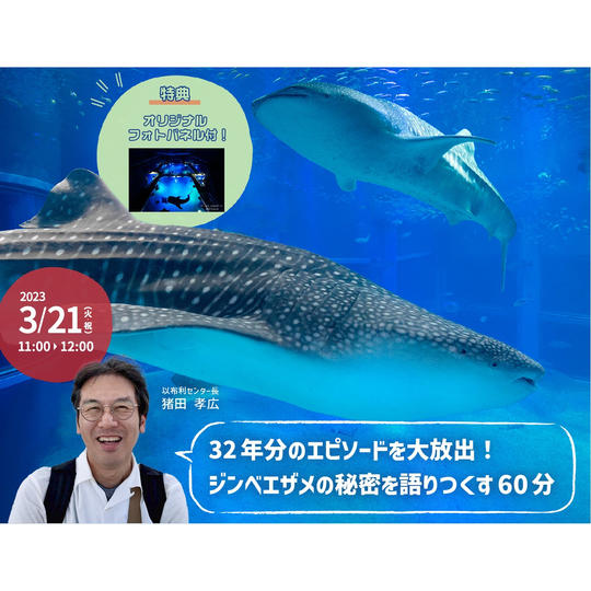 【追加】㉘オンライン配信「32年分のエピソードを大放出！ジンベエザメの秘密を語りつくす60分」【フォトパネル付】