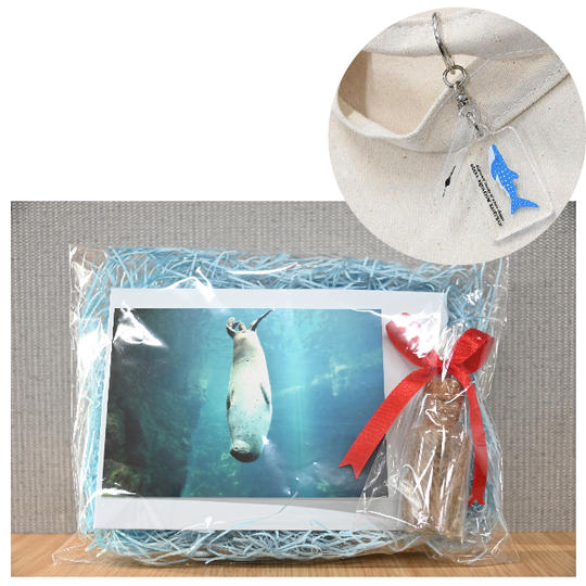 【追加】㉚ゴマフアザラシの毛＋【限定】アクリル2連キーチェーン