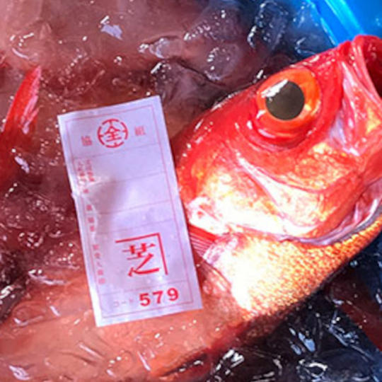 【液体凍結】金目鯛(まるごと)