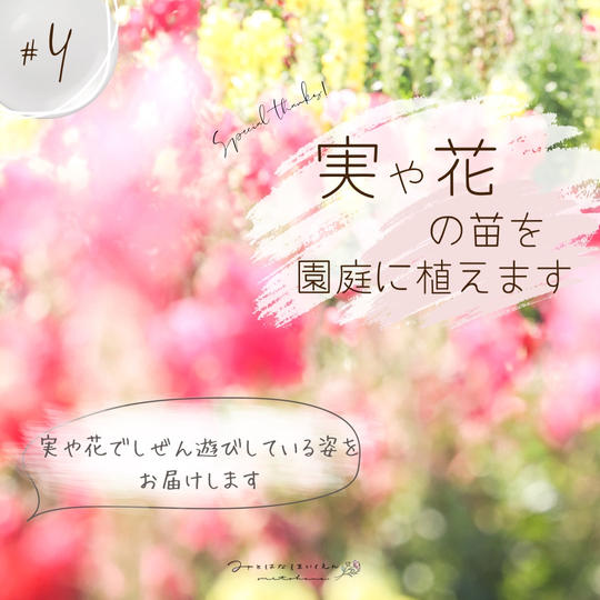 子ども達が自然あそびを楽しむ様子をお届けします