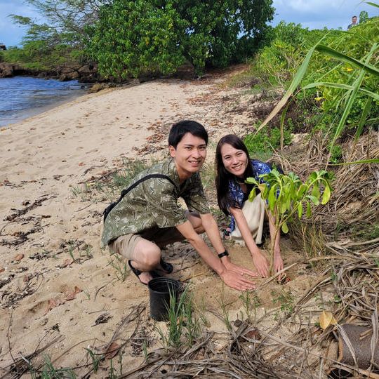 【Zenes限定5%OFF】メモリアル植樹体験+ノースショア観光プラン(ホテル送迎付き)