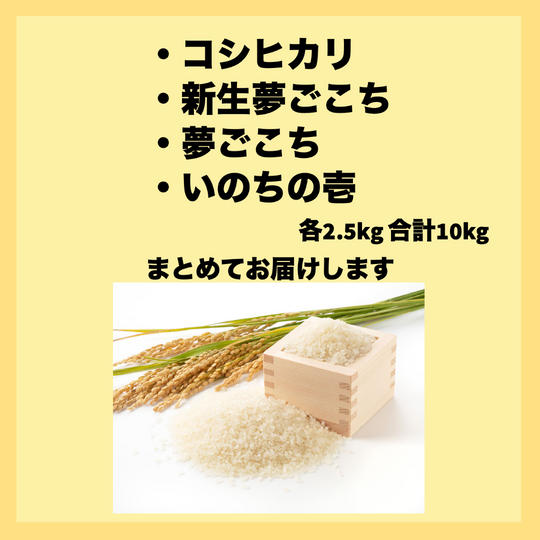 但木米店ピロール米　全種類おまとめコース