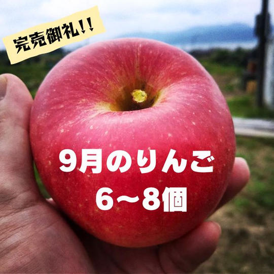 【9月品種】米崎りんご詰め合わせ　6～8個入り 