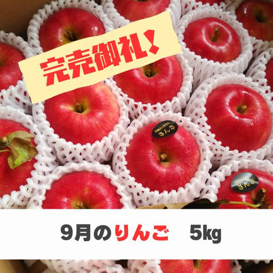 【9月お届け】米崎りんご 5㎏（16～20個入り）【超フレッシュ】
