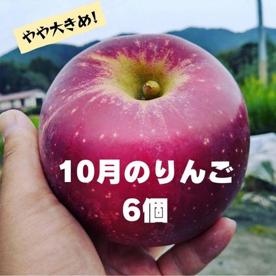 【10月お届け】米崎りんご　6個入（おまかせ2種類以上）【溢れる果汁】