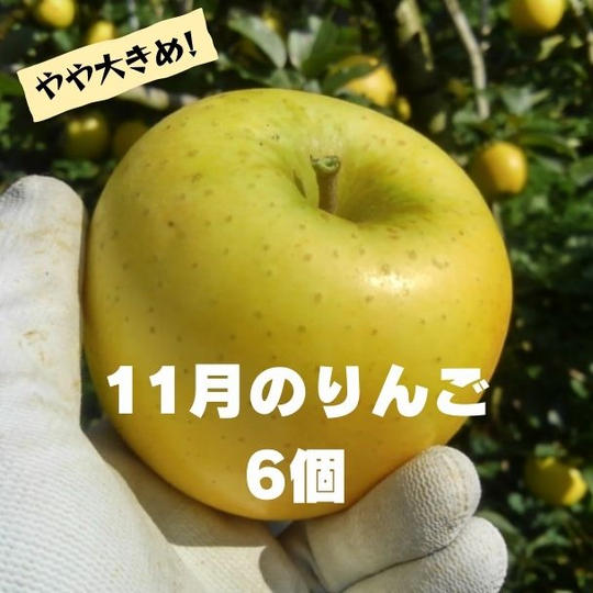 【11月お届け】米崎りんご　6個入（おまかせ2種類以上）【極上！】
