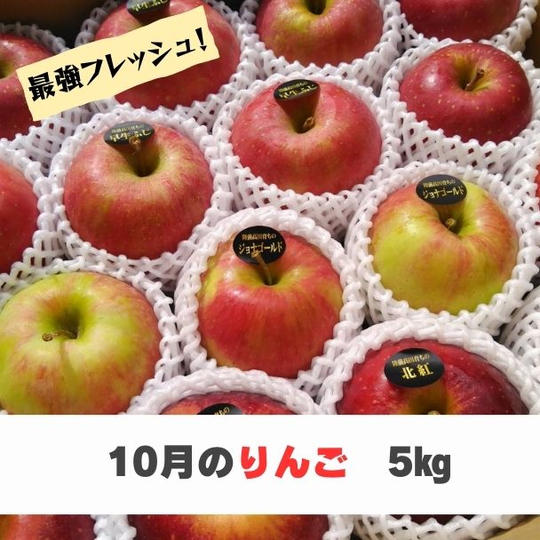 【10月お届け】米崎りんご5㎏（2種類以上、15～18個入）【溢れる果汁】
