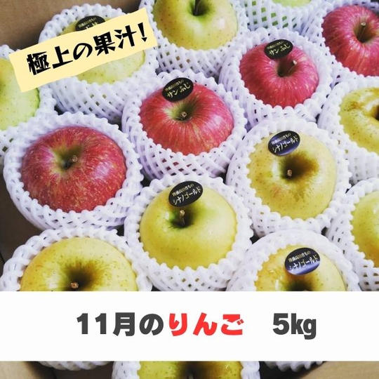 【11月お届け】米崎りんご5㎏（2種類以上、15～18個入）【極上～！】