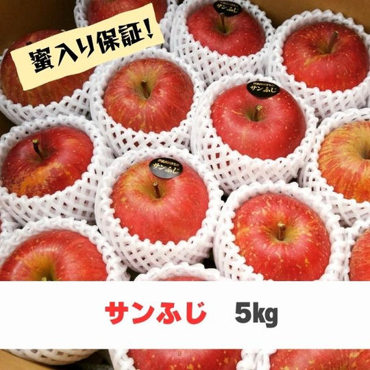 【蜜入り保証】米崎りんご サンふじ 5㎏（14～20個入り）