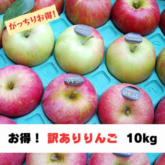 【お得！訳あり品】米崎りんご品種おまかせ10㎏　（2種類以上、32～36個入）