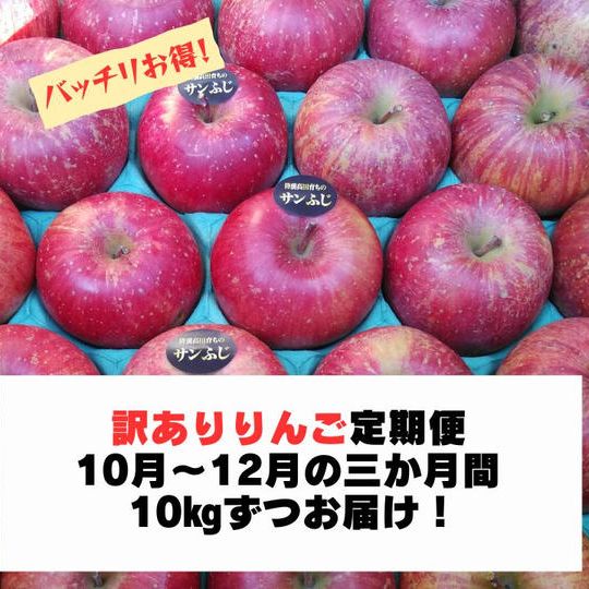 【訳ありりんご定期便】3か月連続りんご10㎏発送　（2種類以上、32～36個入）
