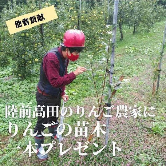【陸前高田のりんご農家にりんごのいのち（苗木）を贈る権】