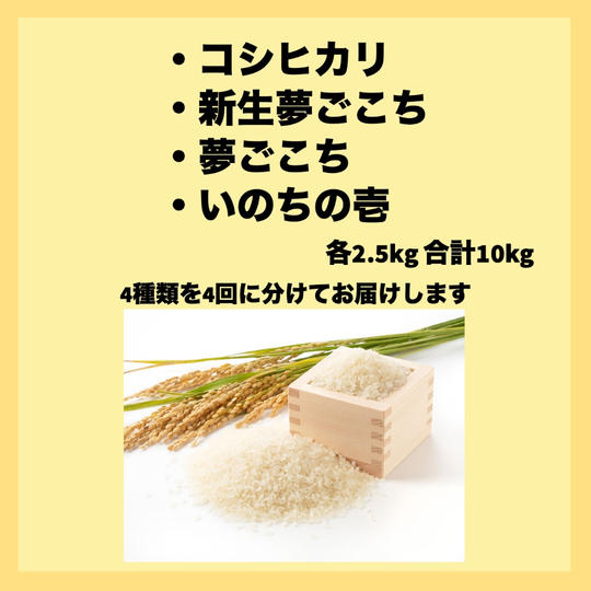 但木米店ピロール米　定期便コース