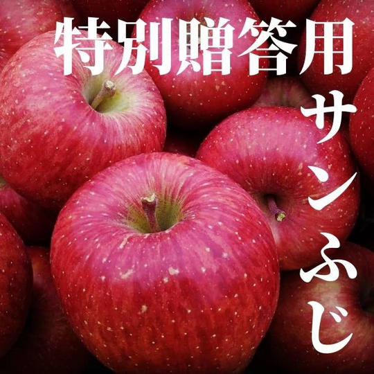 【特別贈答用】米崎りんご サンふじ 3㎏（9～12個）【化粧箱入り】